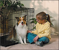 Pet Carriers/Dog Carriers/Cat Carriers, Pet Accessories, Pet Beds at The Roof Box Company Pet Carriers/Dog Carriers/Cat Carriers, Pet Accessories, Pet Beds at The Roof Box Company